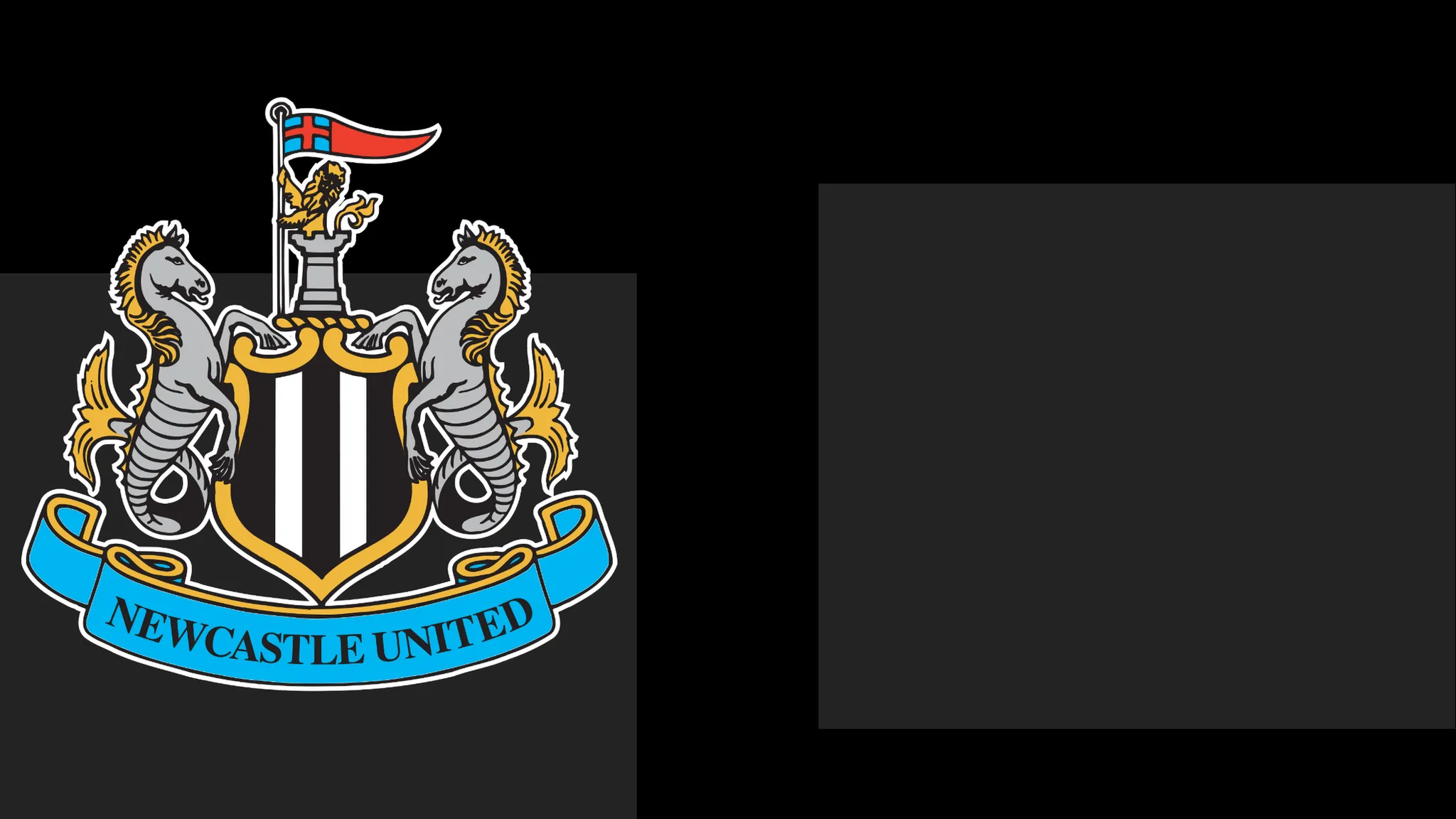 Newcastle's boss Hails Team's Heart – But That Only Carries Them So Far